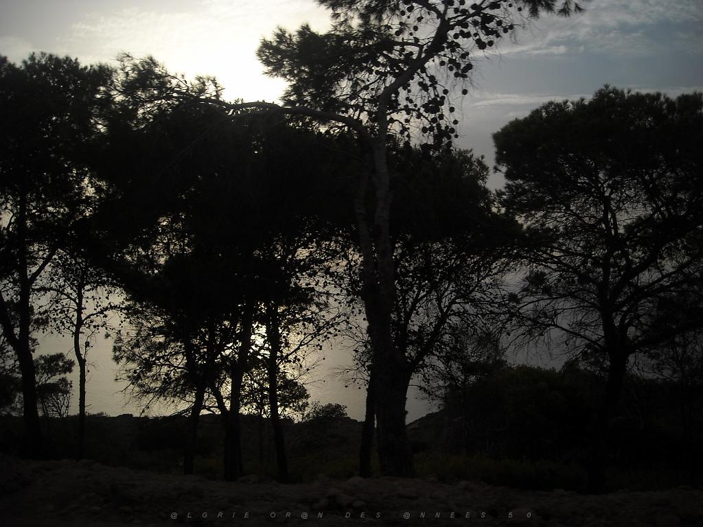 KRISTEL 2011   (13).jpg